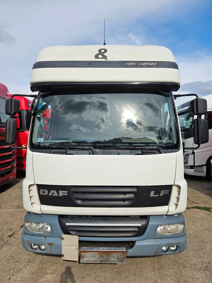 DAF LF 45.180 EEV - More units in stock! - Utilitaire rideaux coulissants (PLSC): photos 2 DAF LF 45.180 EEV - More units in stock! - Utilitaire rideaux coulissants (PLSC): photos 2