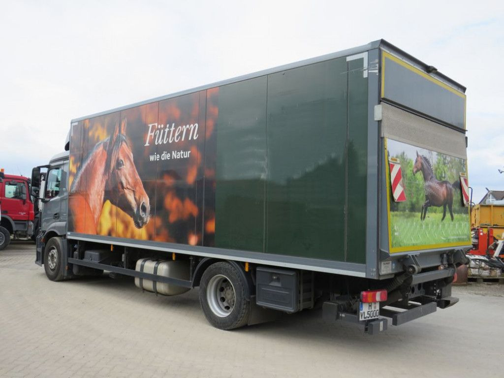 Mercedes-Benz Antos 1830 L nR 4x2 Standardkoffer LBW LBW 2to+F - Camion fourgon: photos 3 Mercedes-Benz Antos 1830 L nR 4x2 Standardkoffer LBW LBW 2to+F - Camion fourgon: photos 3