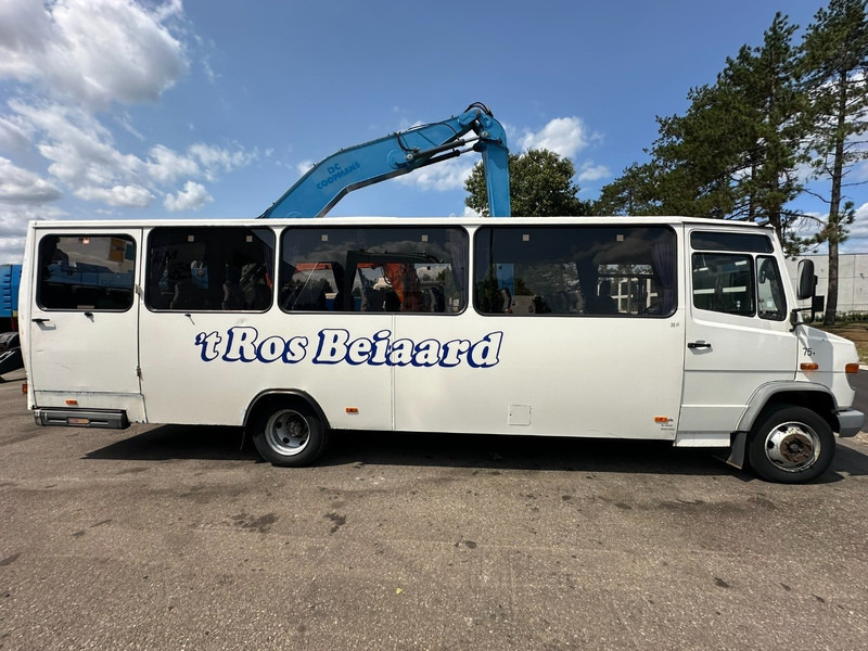 Autocar Mercedes-Benz 814 - 38 PLACES - WHEELCHAIR LIFT - ROLSTOEL LIFT - ASCENSCEUR FAUTEUIL ROULANT - MANUAL - AIR SUSPENSION: photos 6