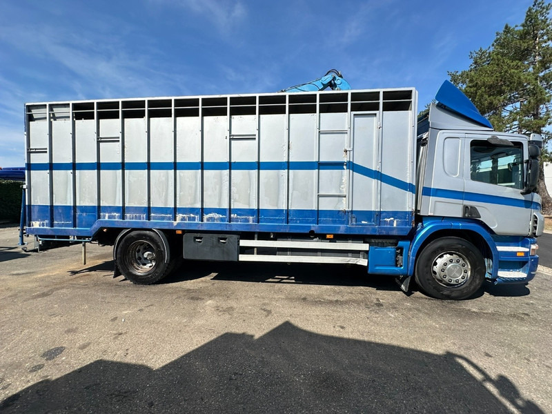 Scania P310 4x2 LIVESTOCK / VEEWAGEN / TIERTRANSPORT / BETAILLERE - ALU BOX 7m - MANUAL - A/C - BELGIAN TRUCK - Camion bétaillère: photos 4 Scania P310 4x2 LIVESTOCK / VEEWAGEN / TIERTRANSPORT / BETAILLERE - ALU BOX 7m - MANUAL - A/C - BELGIAN TRUCK - Camion bétaillère: photos 4