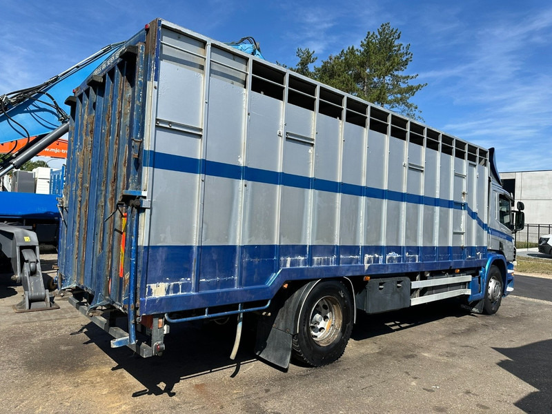 Scania P310 4x2 LIVESTOCK / VEEWAGEN / TIERTRANSPORT / BETAILLERE - ALU BOX 7m - MANUAL - A/C - BELGIAN TRUCK - Camion bétaillère: photos 5 Scania P310 4x2 LIVESTOCK / VEEWAGEN / TIERTRANSPORT / BETAILLERE - ALU BOX 7m - MANUAL - A/C - BELGIAN TRUCK - Camion bétaillère: photos 5