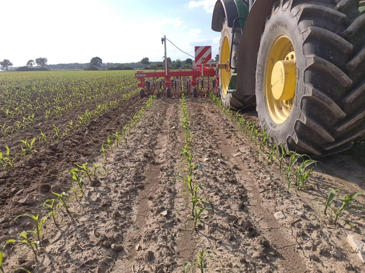 Firestone 460/85R42 480/70R30 - Pneu: photos 5 Firestone 460/85R42 480/70R30 - Pneu: photos 5