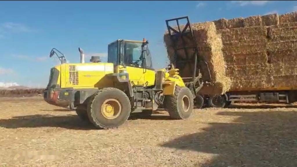 Galen Loader Bale Spear Attachment - Fourches pour Machine agricole: photos 4 Galen Loader Bale Spear Attachment - Fourches pour Machine agricole: photos 4