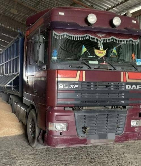 DAF XF 95 - Tracteur routier: photos 5 DAF XF 95 - Tracteur routier: photos 5