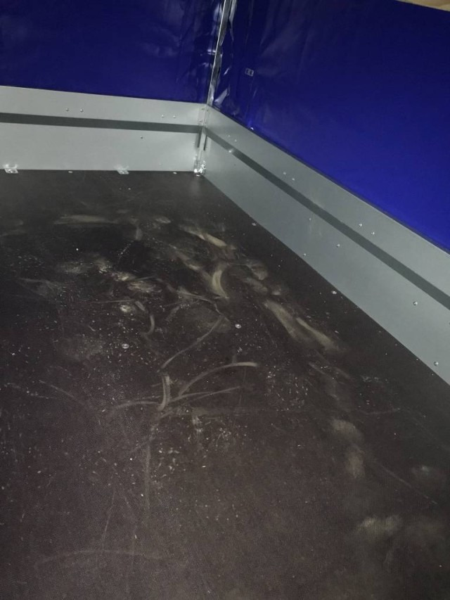 Humbaur Steely mit Hochplane 140 cm, 750 kg 2050x1095x300mm - Remorque voiture: photos 4 Humbaur Steely mit Hochplane 140 cm, 750 kg 2050x1095x300mm - Remorque voiture: photos 4