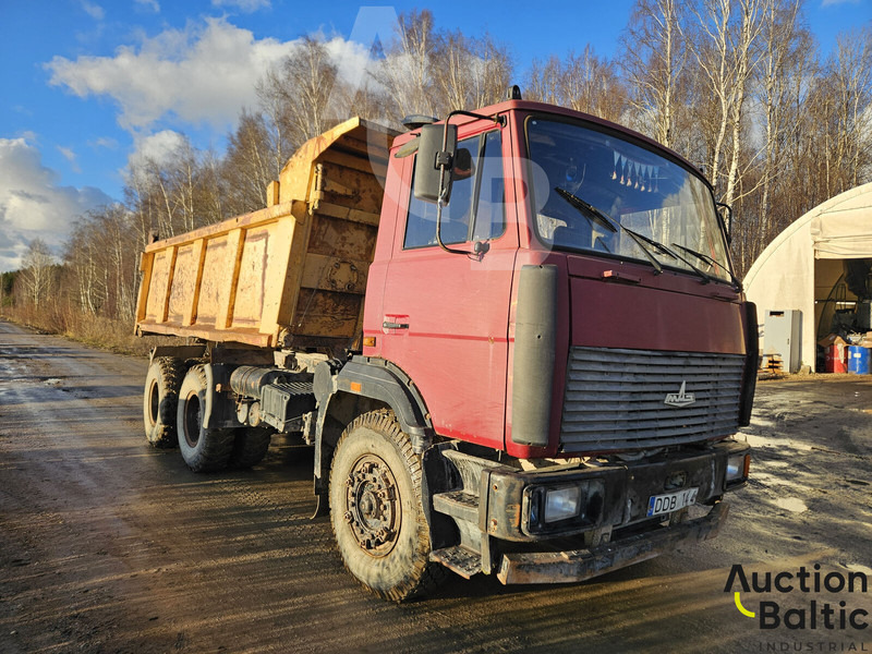 Maz 551669 - Camion benne: photos 1 Maz 551669 - Camion benne: photos 1