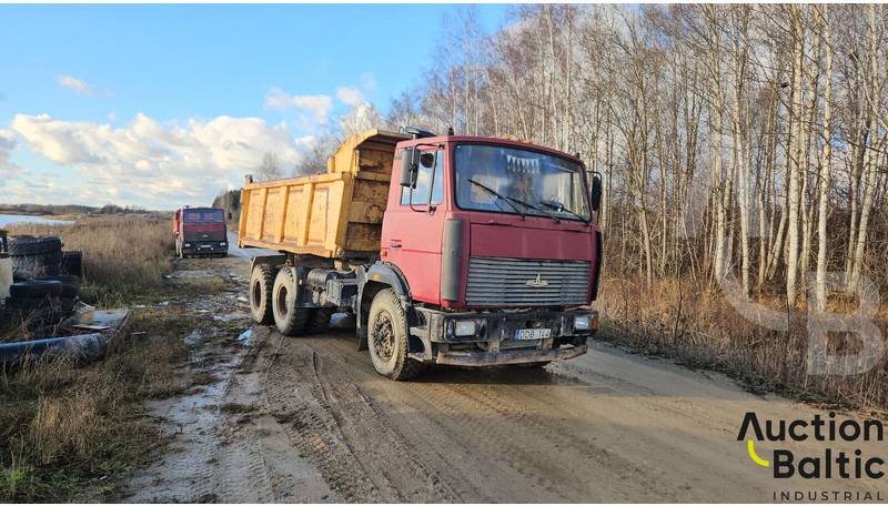 Maz 551669 - Camion benne: photos 2 Maz 551669 - Camion benne: photos 2