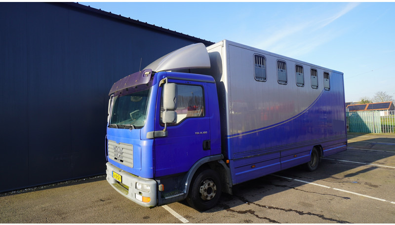 MAN TGL 8.180 HORSE TRANPORT 515.000KM - Camion chevaux: photos 3 MAN TGL 8.180 HORSE TRANPORT 515.000KM - Camion chevaux: photos 3