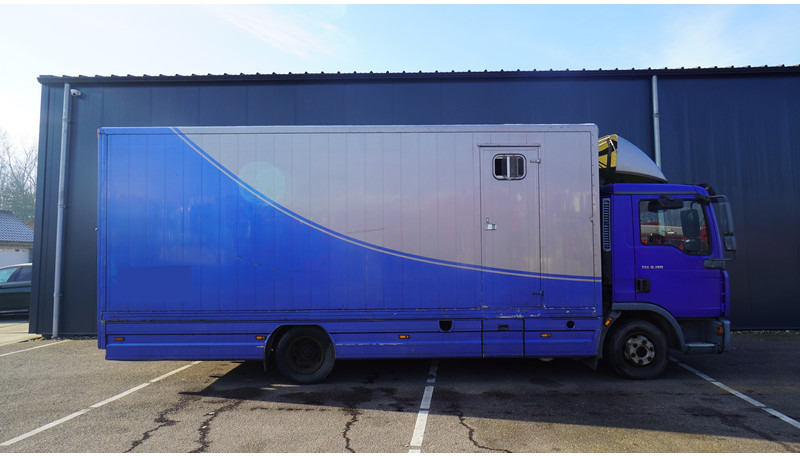 MAN TGL 8.180 HORSE TRANPORT 515.000KM - Camion chevaux: photos 2 MAN TGL 8.180 HORSE TRANPORT 515.000KM - Camion chevaux: photos 2