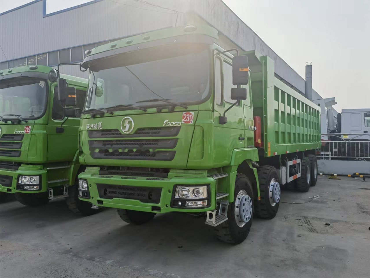 Camion benne Shacman F3000 8*4 Dump truck: photos 12