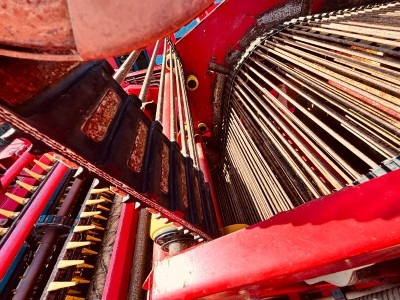 Grimme MAXTRON 620 - Matériel de récolte: photos 5 Grimme MAXTRON 620 - Matériel de récolte: photos 5