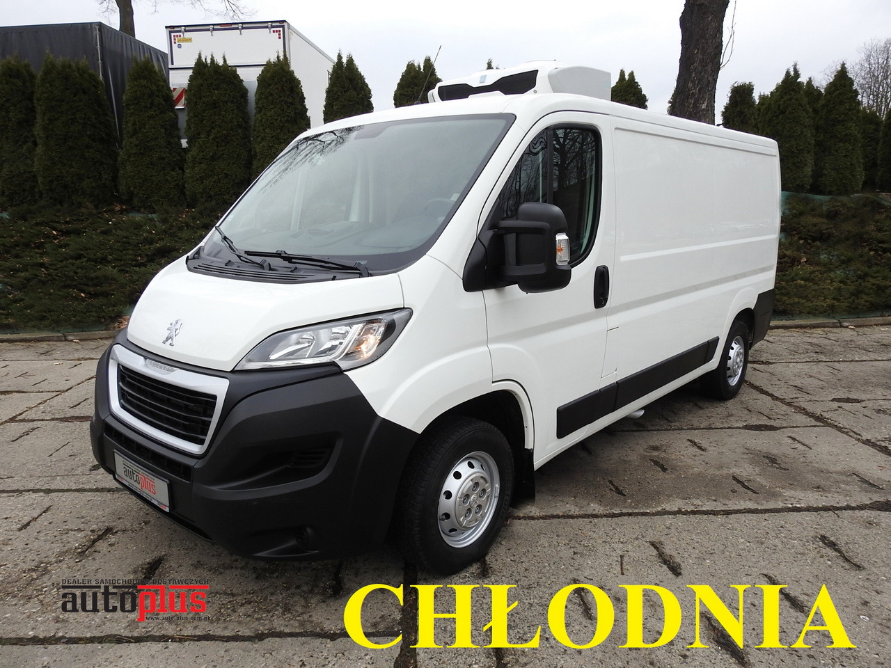 PEUGEOT BOXER REFRIGERATOR VAN -5*C TWO COMPARTMENTS CRUISE CONTROL AIR CONDITIONING  120HP - Utilitaire frigorifique: photos 1 PEUGEOT BOXER REFRIGERATOR VAN -5*C TWO COMPARTMENTS CRUISE CONTROL AIR CONDITIONING  120HP - Utilitaire frigorifique: photos 1