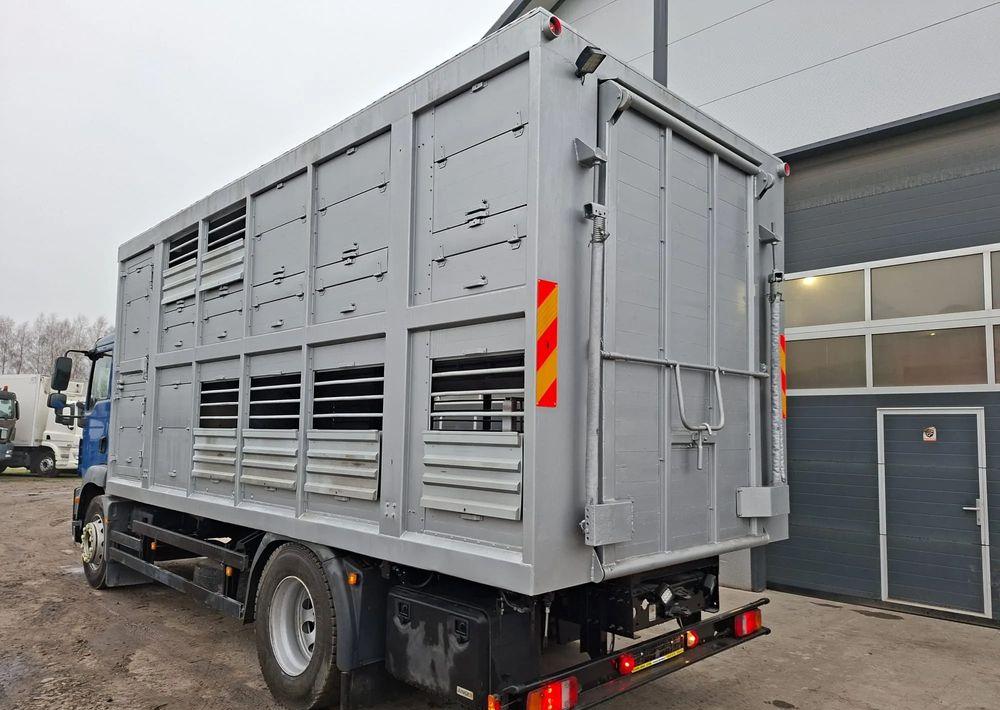 MAN TGM 18.250 4x2 DO ŻYWCA - Camion bétaillère: photos 3 MAN TGM 18.250 4x2 DO ŻYWCA - Camion bétaillère: photos 3