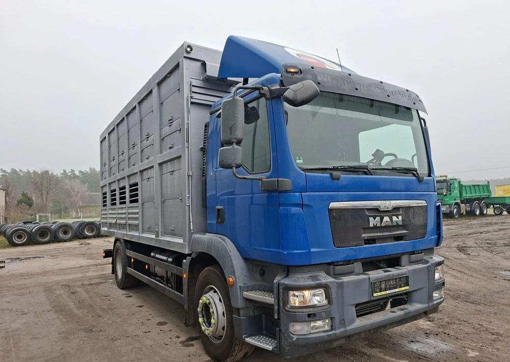 MAN TGM 18.250 4x2 DO ŻYWCA - Camion bétaillère: photos 2 MAN TGM 18.250 4x2 DO ŻYWCA - Camion bétaillère: photos 2