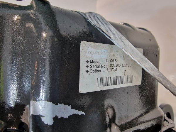 Moteur pour Engins de chantier Doosan DL08 Engine (Plant): photos 11