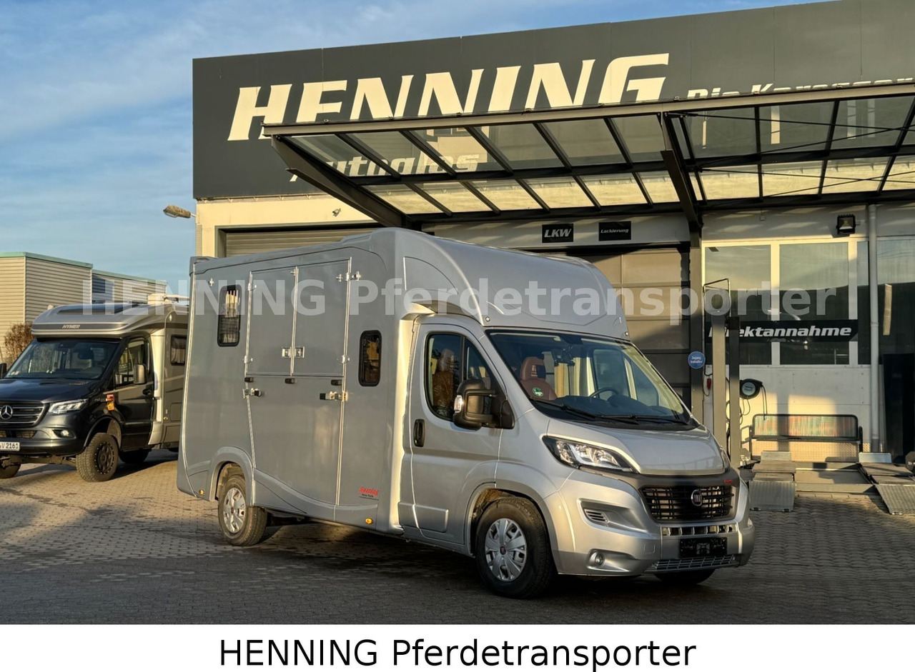 Fiat Ducato 5 - Sitzer PFERDETRANSPORTER - Camion bétaillère: photos 1 Fiat Ducato 5 - Sitzer PFERDETRANSPORTER - Camion bétaillère: photos 1