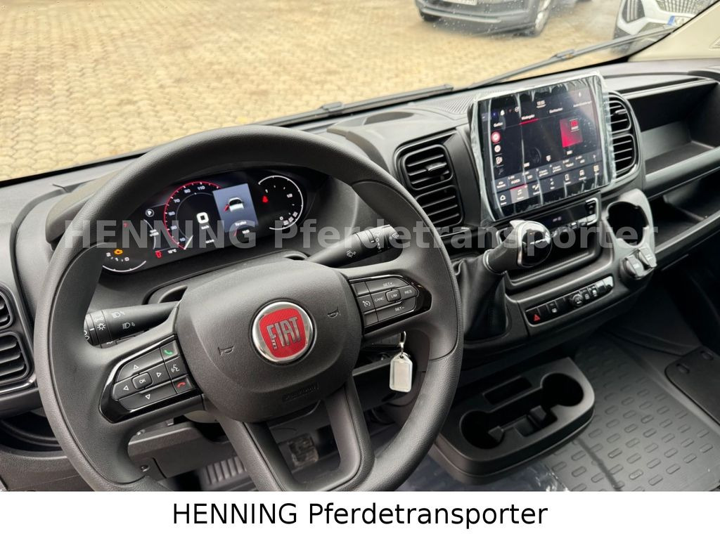 Camion chevaux Fiat Ducato *NEUWAGEN* ca.1100 kg Nutzlast: photos 15