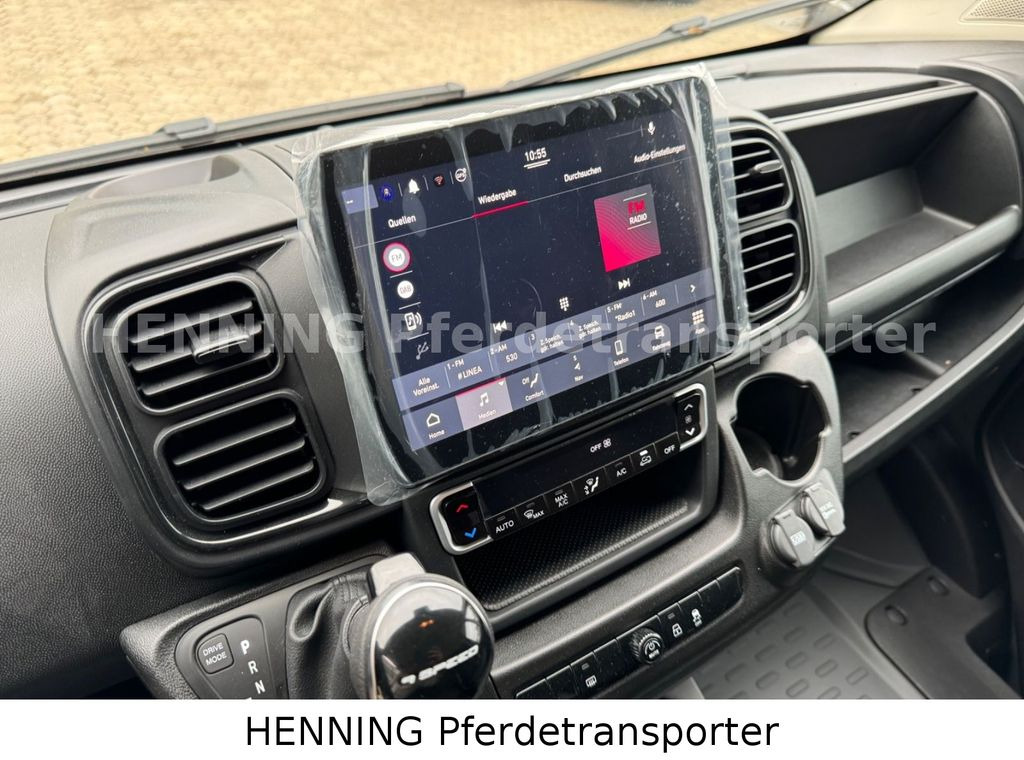 Camion chevaux Fiat Ducato *NEUWAGEN* ca.1100 kg Nutzlast: photos 16