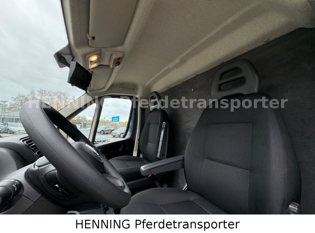 Camion chevaux Fiat Ducato *NEUWAGEN* ca.1100 kg Nutzlast: photos 14