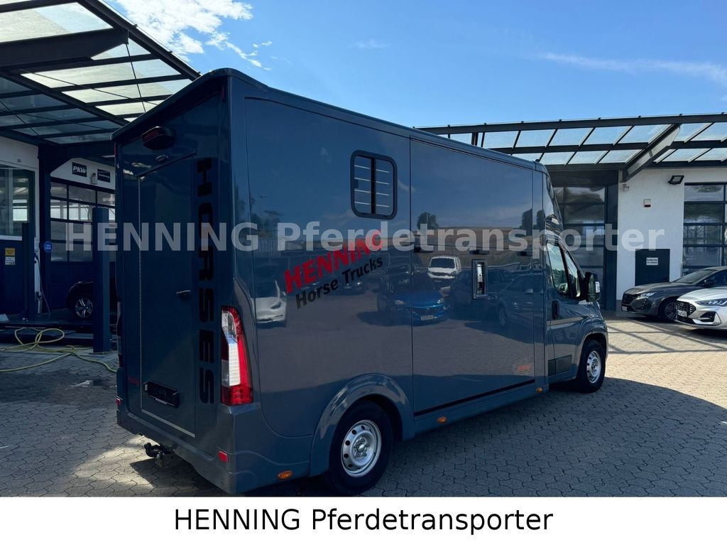 Opel Movano 3 - Sitzer *AUFBAU NEU* - Camion chevaux: photos 2 Opel Movano 3 - Sitzer *AUFBAU NEU* - Camion chevaux: photos 2