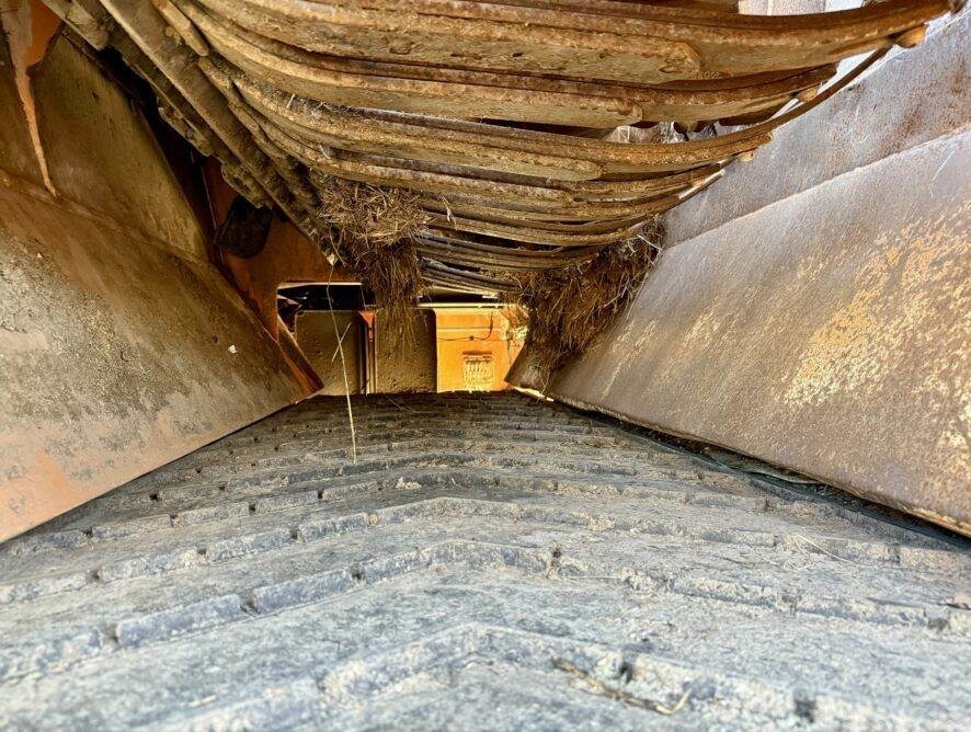 Broyeur industriel Doppstadt DW2560: photos 10