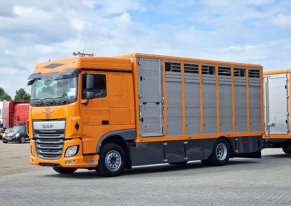 DAF XF 460 4x2 SpaceCab – Menke Livestock | 1 pokład | Euro 6 | 2016 - Camion bétaillère: photos 2 DAF XF 460 4x2 SpaceCab – Menke Livestock | 1 pokład | Euro 6 | 2016 - Camion bétaillère: photos 2