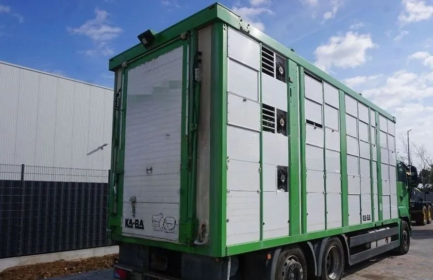 MAN TGS 26.440 ZABUDOWA KABA CAŁA ALUMINIOWA– samochód do transportu zwierząt/koni – 3 pokłady / EURO 5/6X2/PODNOSZONY DACH - Camion bétaillère: photos 2 MAN TGS 26.440 ZABUDOWA KABA CAŁA ALUMINIOWA– samochód do transportu zwierząt/koni – 3 pokłady / EURO 5/6X2/PODNOSZONY DACH - Camion bétaillère: photos 2