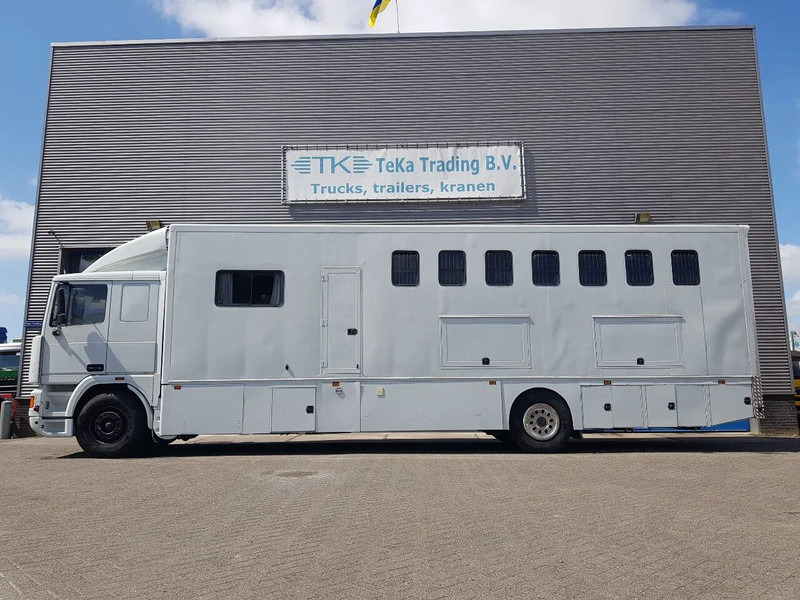 DAF 95.350 Paardenwagen met zitverblijf 7 paarden 7 horses - Camion chevaux: photos 3 DAF 95.350 Paardenwagen met zitverblijf 7 paarden 7 horses - Camion chevaux: photos 3
