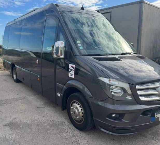 Mercedes-Benz SPICA / SPRINTER 519 / SPROWADZONY / KLIMA / TV - Autocar: photos 1 Mercedes-Benz SPICA / SPRINTER 519 / SPROWADZONY / KLIMA / TV - Autocar: photos 1