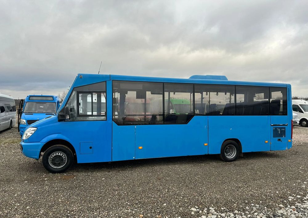Minibus, Transport de personnes Mercedes-Benz Sprinter 516: photos 6