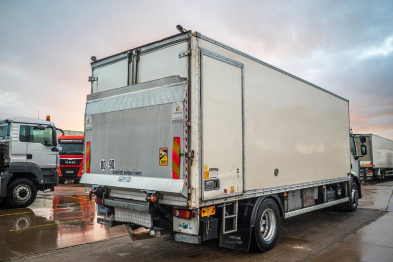 Renault PREMIUM 300DXI+POUSSIN/CHICKEN/KUIKEN/KÛKEN+DHOLLANDIA - Camion fourgon: photos 3 Renault PREMIUM 300DXI+POUSSIN/CHICKEN/KUIKEN/KÛKEN+DHOLLANDIA - Camion fourgon: photos 3