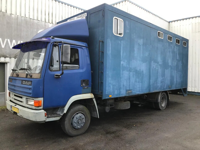 DAF 45 - 150 , Turbo , Horse truck , Spring Suspension - Camion fourgon: photos 1 DAF 45 - 150 , Turbo , Horse truck , Spring Suspension - Camion fourgon: photos 1