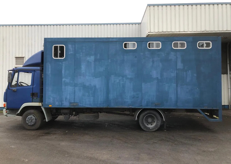 DAF 45 - 150 , Turbo , Horse truck , Spring Suspension - Camion fourgon: photos 2 DAF 45 - 150 , Turbo , Horse truck , Spring Suspension - Camion fourgon: photos 2