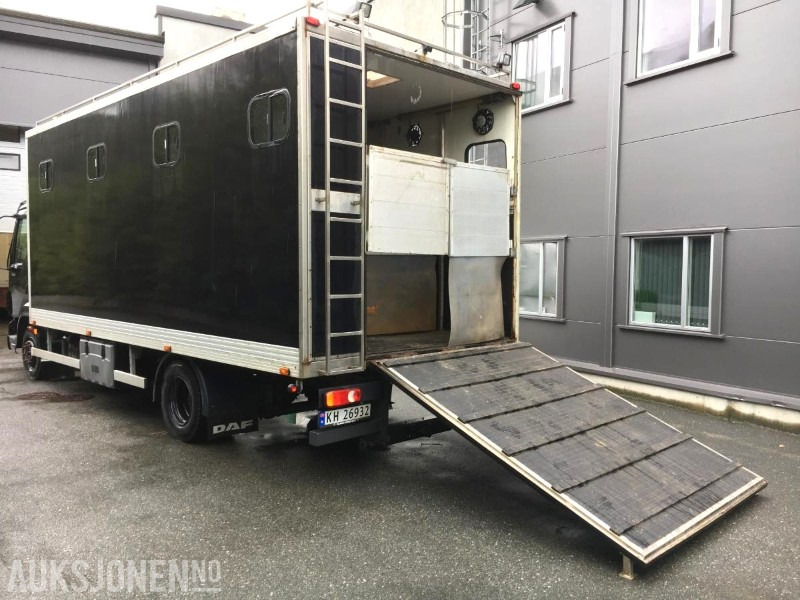 2004 DAF LF 45.220 - Hestebil / Transportbil, 202552km - Véhicule de voirie/ Spécial: photos 2 2004 DAF LF 45.220 - Hestebil / Transportbil, 202552km - Véhicule de voirie/ Spécial: photos 2