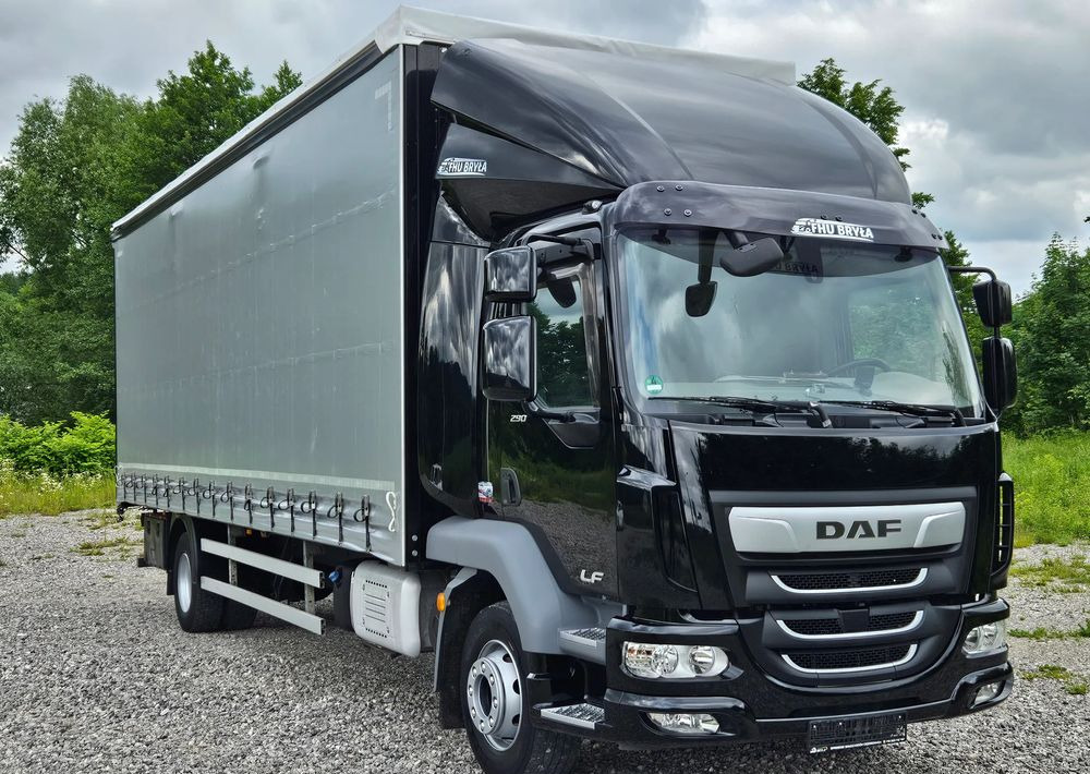 DAF LF 290 / WINDA / 16TON DMC / FIRANKA / AUTOMAT / JEDEN WŁAŚCICIE / EURO 6 / 2019 / SPROWADZONY / 20PALET / NISKI PRZEBIEG / DUŻA ŁADOWNOŚĆ / JAK NOWY - Camion à rideaux coulissants: photos 3 DAF LF 290 / WINDA / 16TON DMC / FIRANKA / AUTOMAT / JEDEN WŁAŚCICIE / EURO 6 / 2019 / SPROWADZONY / 20PALET / NISKI PRZEBIEG / DUŻA ŁADOWNOŚĆ / JAK NOWY - Camion à rideaux coulissants: photos 3