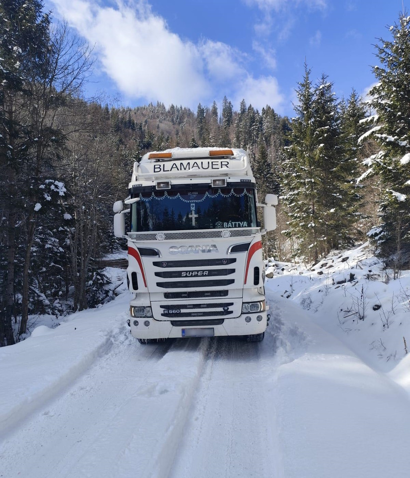 SCANIA R560 V8 - Camion grumier, Camion grue: photos 4 SCANIA R560 V8 - Camion grumier, Camion grue: photos 4