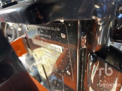 TAO MOTORS TGA 300F (Unused) - Quadricycle: photos 2 TAO MOTORS TGA 300F (Unused) - Quadricycle: photos 2