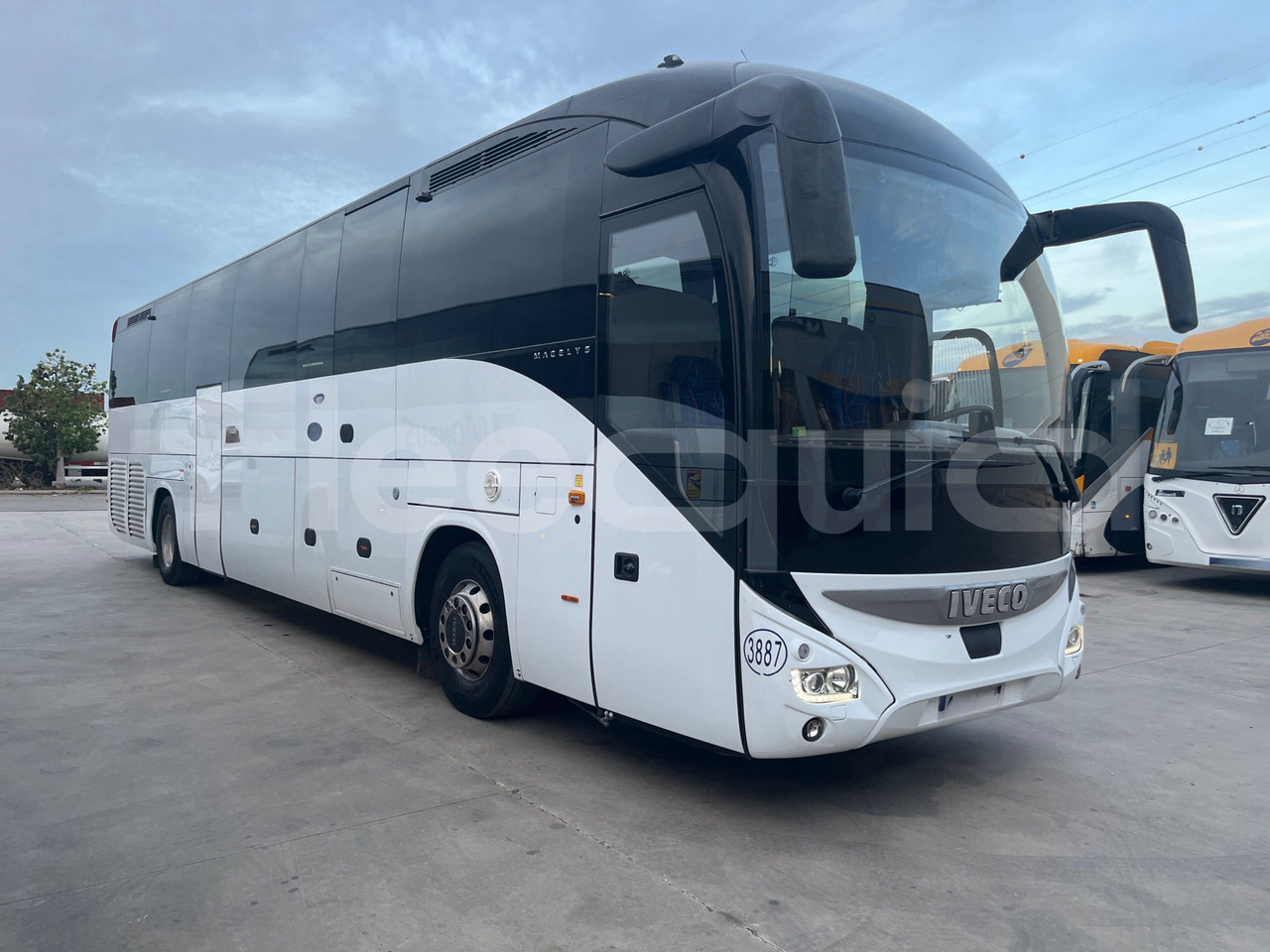 Iveco Magelys - Autocar: photos 1 Iveco Magelys - Autocar: photos 1