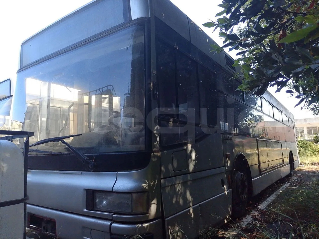 N. 3 Iveco 491/3P - Bus urbain: photos 3 N. 3 Iveco 491/3P - Bus urbain: photos 3
