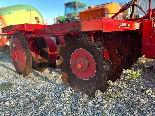 ANGELONI EFV22-560 - Cover crop: photos 3 ANGELONI EFV22-560 - Cover crop: photos 3