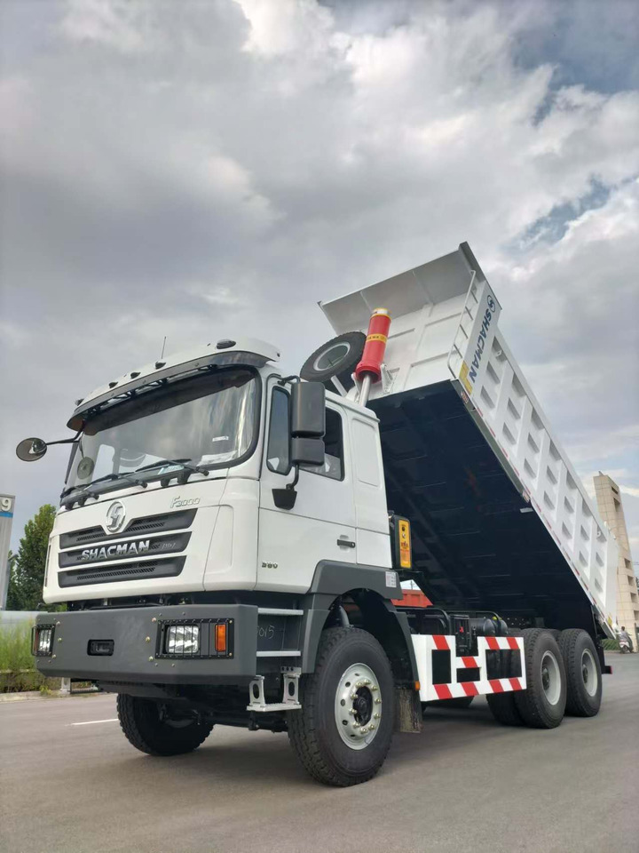 Camion benne neuf SHACMAN F3000: photos 8