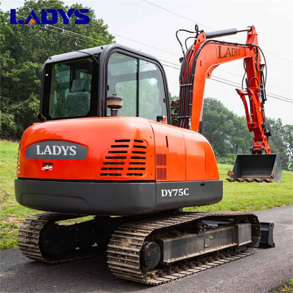 LADYS DY75C Small Excavator Euro 5/Epa Yanmar Engine Small Excavator Crawler Excavator For Sale - Pelle sur chenille: photos 3 LADYS DY75C Small Excavator Euro 5/Epa Yanmar Engine Small Excavator Crawler Excavator For Sale - Pelle sur chenille: photos 3