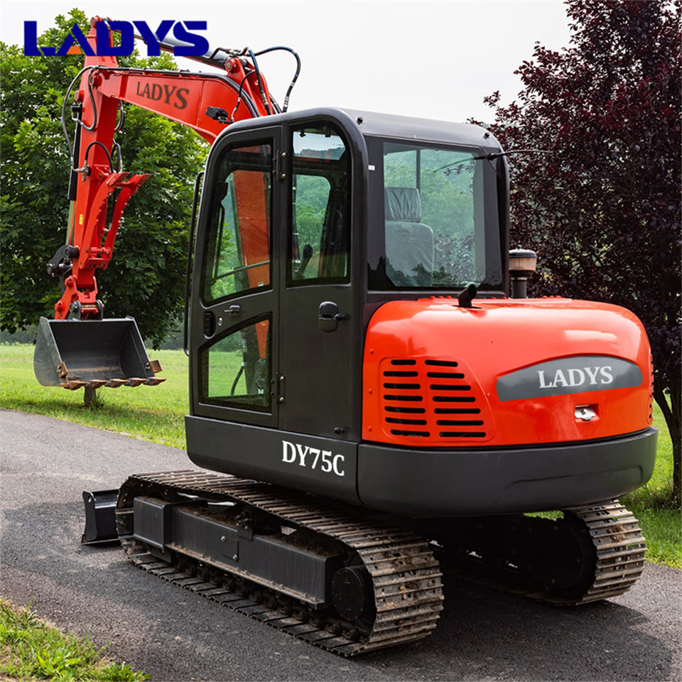 LADYS DY75C Small Excavator Euro 5/Epa Yanmar Engine Small Excavator Crawler Excavator For Sale - Pelle sur chenille: photos 5 LADYS DY75C Small Excavator Euro 5/Epa Yanmar Engine Small Excavator Crawler Excavator For Sale - Pelle sur chenille: photos 5