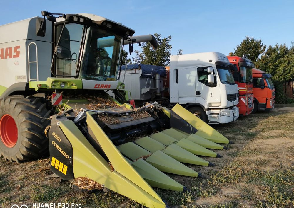 Oros Cornado 6 4+2R Nowa Przystawka do kukurydzy - Cueilleur de maïs: photos 3 Oros Cornado 6 4+2R Nowa Przystawka do kukurydzy - Cueilleur de maïs: photos 3