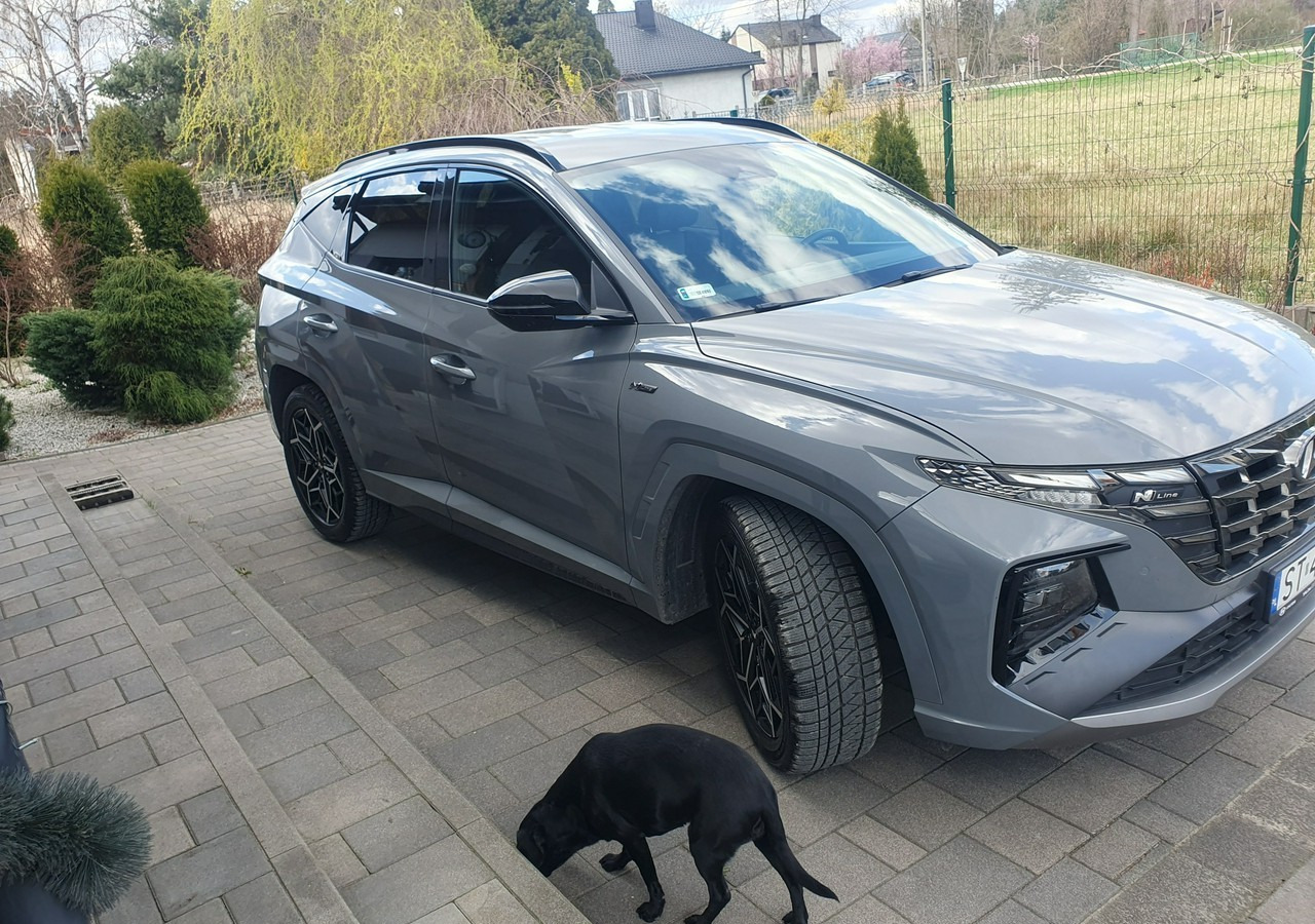 Hyundai Tucson III executive , n line , 48 v - Voiture: photos 3 Hyundai Tucson III executive , n line , 48 v - Voiture: photos 3