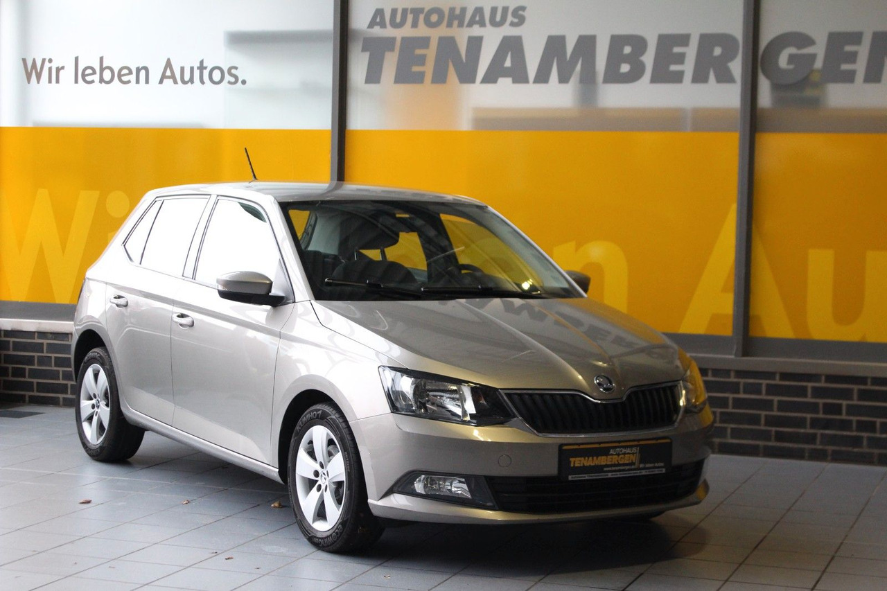 Skoda Fabia Ambition Klima Tempomat Bluetooth - Voiture: photos 2 Skoda Fabia Ambition Klima Tempomat Bluetooth - Voiture: photos 2