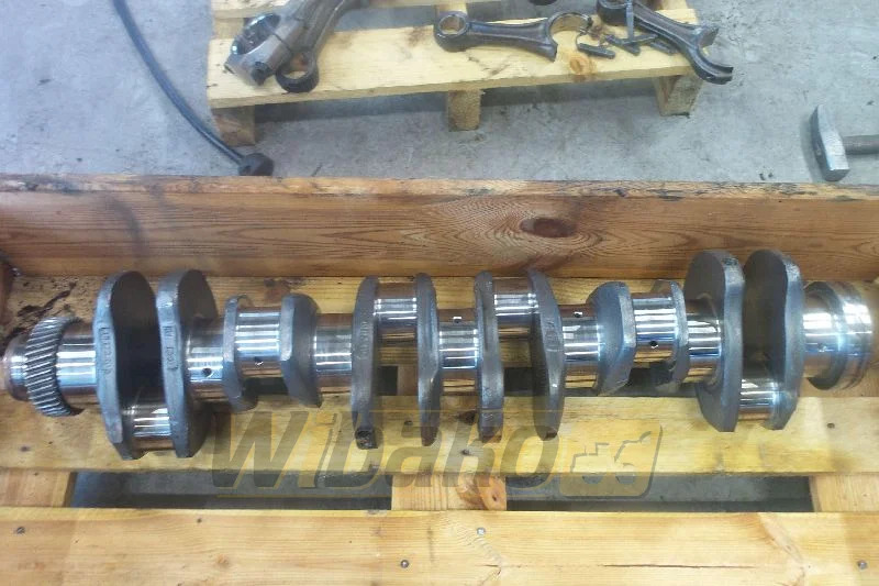 Case 6T-830 - Vilebrequin pour Engins de chantier: photos 1 Case 6T-830 - Vilebrequin pour Engins de chantier: photos 1