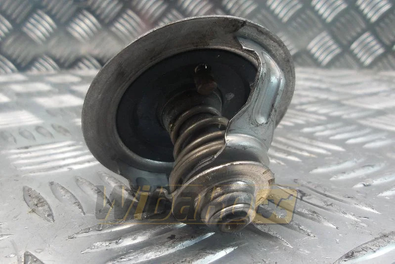 Iveco F4AE0681B - Thermostat pour Engins de chantier: photos 1 Iveco F4AE0681B - Thermostat pour Engins de chantier: photos 1