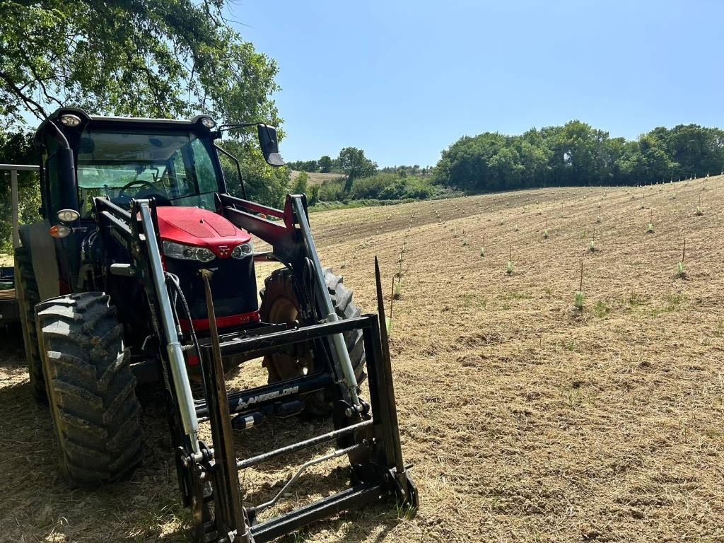 Massey Ferguson 5710  - Tracteur agricole: photos 2 Massey Ferguson 5710  - Tracteur agricole: photos 2