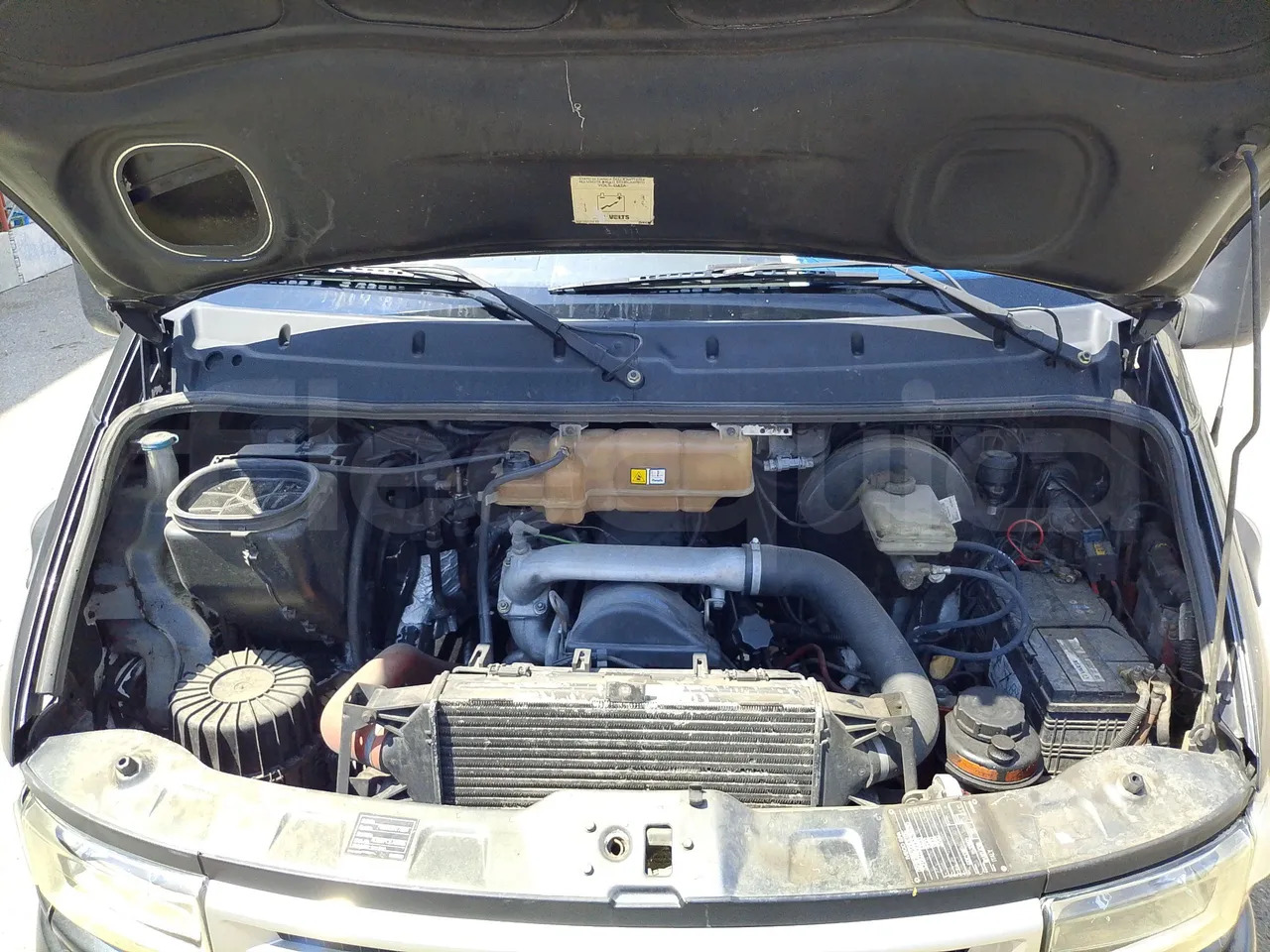 Bus interurbain Iveco Daily: photos 19